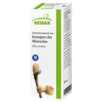 Heidak Gemmomazerat aus Knospen der Weinrebe Heidak Gemmomazerat aus Knospen der Weinrebe