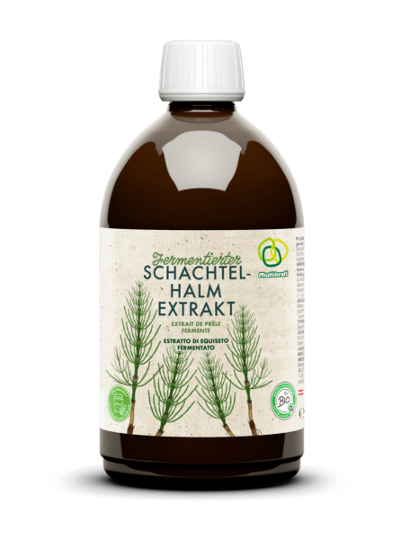Multikraft Fermentierter Schachtelhalmextrakt