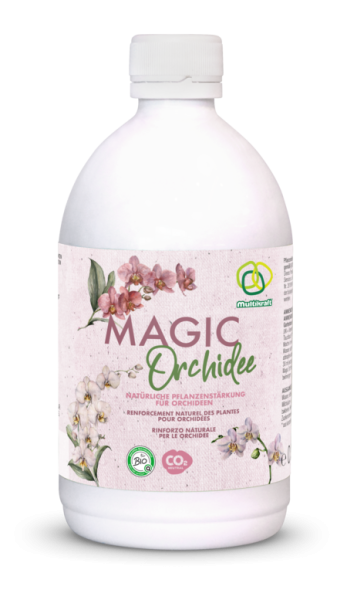 Multikraft Magic Orchidee