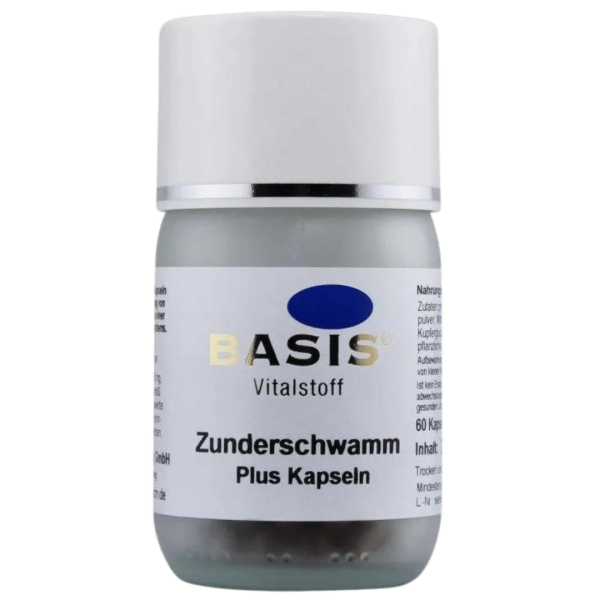 BASIS Zunderschwamm Plus