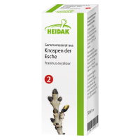 Heidak Gemmomazerat aus Knospen der Esche Heidak Gemmomazerat aus Knospen der Esche