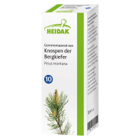 Heidak Gemmomazerat aus Knospen der Bergkiefer Heidak Gemmomazerat aus Knospen der Bergkiefer