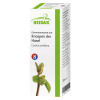 Heidak Gemmomazerat aus Knospen der Hasel Heidak Gemmomazerat aus Knospen der Hasel