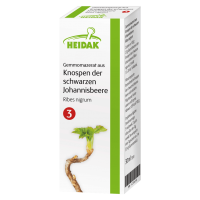 Heidak Gemmomazerat aus Knospen der schwarzen Johannisbeere Heidak Gemmomazerat aus Knospen der schwarzen Johannisbeere