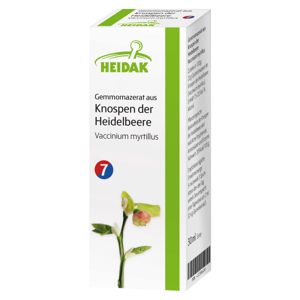 Heidak Gemmomazerat aus Knospen der Heidelbeere