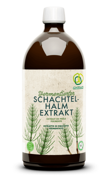 Multikraft Fermentierter Schachtelhalmextrakt