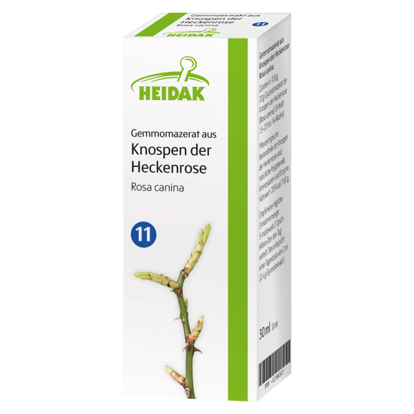 Heidak Gemmomazerat aus Knospen der Hecken-Rose