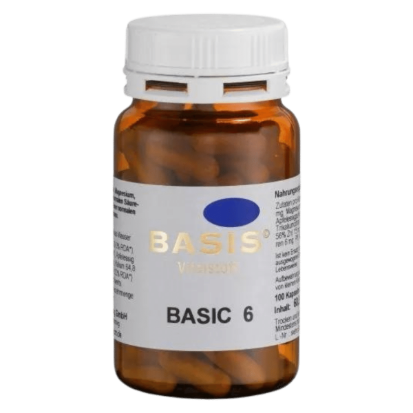 BASIS Basic 6