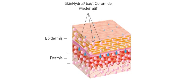 SkinHydral baut Ceramide auf