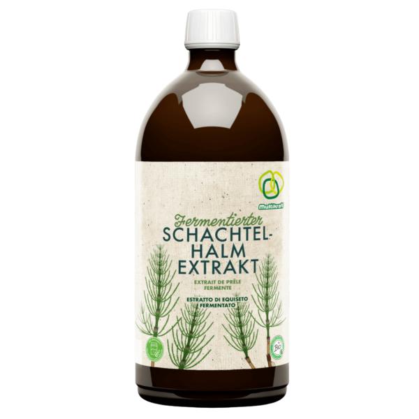 Multikraft Fermentierter Schachtelhalmextrakt Konzentrat