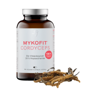 vita7 MYKOFIT® Bio Cordyceps Kapseln vita7 MYKOFIT® Bio Cordyceps Kapseln