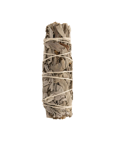 Berk Weißer Salbei mini Smudge einzeln