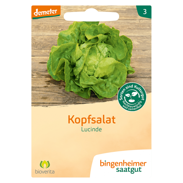 Bingenheimer Saatgut Bio Kopfsalat Lucinde