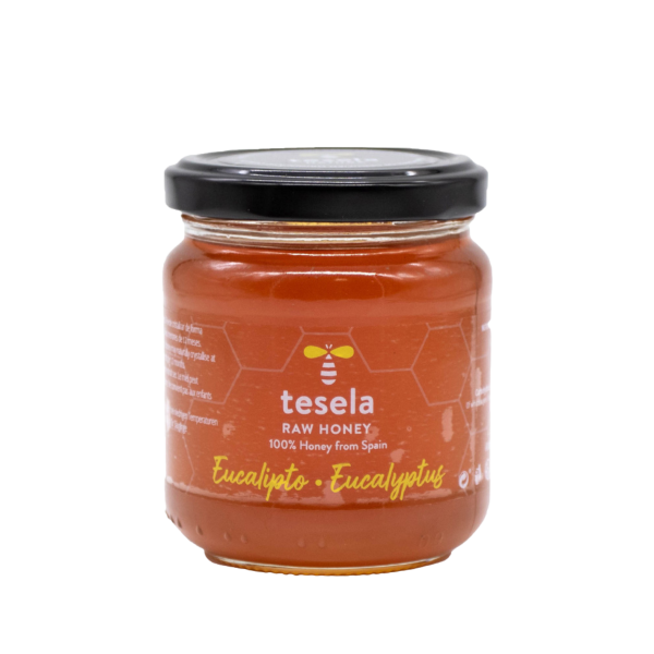 tesela NATURA Reiner Naturhonig - Eukalyptushonig