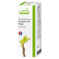 Heidak Gemmomazerat aus Knospen der Feige Heidak Gemmomazerat aus Knospen der Feige