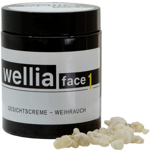 Wellia Pflegecreme 24-Std