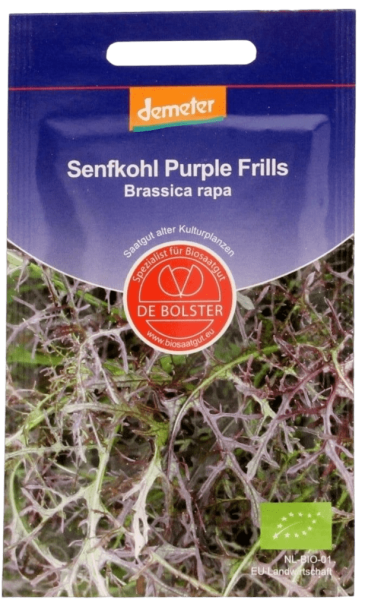DE Bolster Bio Blattsenf &#039;Purple Frills&#039; MHD 31.12.2023