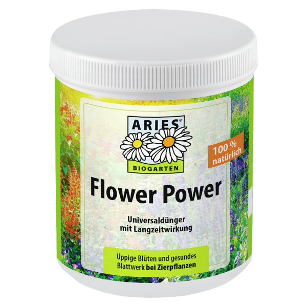 Aries Flower Power