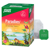 Salus Bio Paradies Früchtetee Salus Bio Paradies Früchtetee