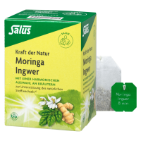 Salus Bio Moringa Ingwer Kräutertee Salus Bio Moringa Ingwer Kräutertee
