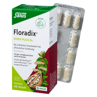 Salus Floradix Eisen plus B12 40 Kapseln Salus Floradix Eisen plus B12 40 Kapseln
