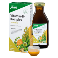 Salus Vitamin-B-Komplex Tonikum Salus Vitamin-B-Komplex Tonikum