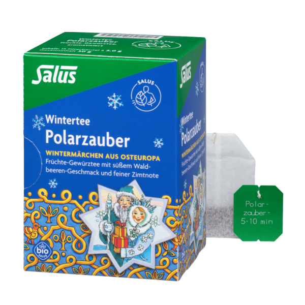 Salus Bio Polarzauber Früchte-Gewürztee